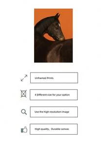 1pc Frameless Modern Black Horse Portrait Wall Art Print, Bold Orange Background Equine Canvas Poster, Minimalist Animal Photography Wall Decor For Living Room Bedroom,Decoration Bedroom, Prints For Wall, Posters, Vintage Decor,Best Gift Choice - Horse - View 5