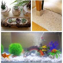 室內植物用白色鵝卵石，裝飾性白色石頭，適用於植物花瓶、魚缸、花園、園藝石、植栽盆、花園插樁裝飾、花園裝飾品、居家景觀裝飾、秋季居家裝飾、聖誕裝飾 - 白色鵝卵石 - 查看 8