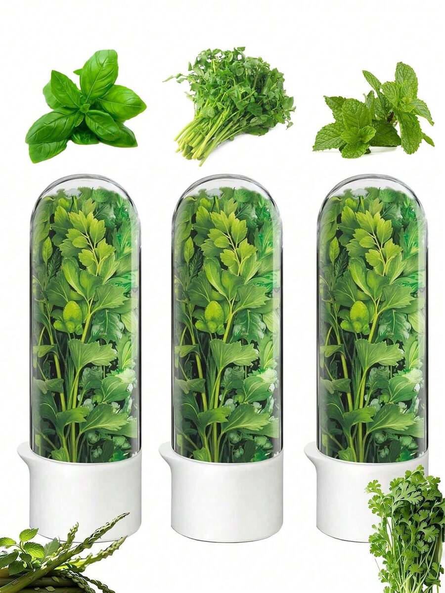 1/2/3pcs Refrigerator Herb Preserver, Refrigerator Herb Storage Container, Cilantro, Mint, Parsley, Asparagus Vegetable Preservation Jar, Keeps Vegetables Fresh For 2-3 Weeks