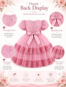 H HIBOBI Baby Girl Short Sleeve Embroidered Sparkly Bowknot Princess Dress, For All Seasons - Dusty Pink - View 5