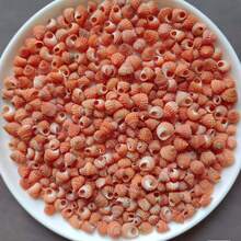 50g Specially Shaped Mini Conch | Red Tower Snail - Suitable For Fish Tank Aquarium Micro Landscape Creation, Mini Hermit Crab Shell Replacement, DIY Shell Wind Chimes For Handicraft Enthusiasts, And Accessory Pendants - As Shown In the Figure - View 1