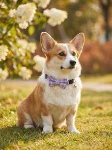 1 buah Kalung Hewan Peliharaan Motif Kotak-kotak Ungu dari Poliester dengan Pita yang Dapat Dilepas dan Lonceng, Cocok untuk Kucing dan Anjing Kecil, Penggunaan di Dalam dan Luar Ruangan - Purple - View 3
