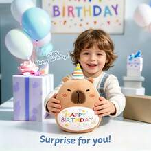 Capybara Birthday Plush Stuffed Animal Pillow Cute Happy Birthday Capybara Gifts For Kids Boys Girls (Birhtday Capybara Plush Pillow) - White - View 5