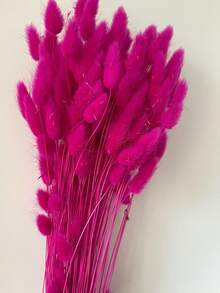 60/120/240入 波希米亞風人造花飾 兔尾芒草 多色蒲公英花 家居婚禮辦公室咖啡廳裝飾 情人節母親節禮物 - 玫紅色3 - 查看 3
