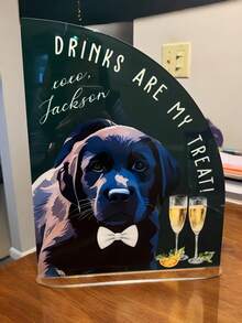 Custom Acrylic Cat/Dog Portrait "My Treat" Tag, Pet Lover And Wedding Gift, Suitable For Party And Bar Decor, Wedding Favors - Multicolor - View 8