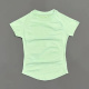 Verde palma
