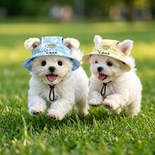 Customizable Pet Sun Hat With Name, Summer Open-Ear Sun Protection Hat For Dogs, Cute Sun Hat For Small Dogs And Cats, Available In 4 Colors, Pet Outdoor Photo Accessory - Pink Hat - View 4