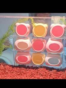 Kệ lưu trữ acrylic trang trí bể cá – Kệ nhiều tầng trong suốt đặc biệt làm nơi trú ẩn cho cá nhỏ - A - Xem 3