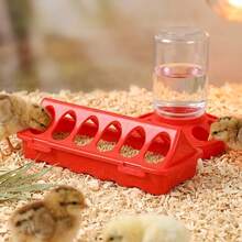 Chick Feeder For Small Poultry Starter Durable Plastic Easy-Clean Design - Feeder - View 5