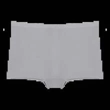 Bragas sin costuras para mujer, Boxers deportivos, ropa interior femenina de Color sólido, calzoncillos cómodos, lencería acogedora, calzoncillos íntimos S-XL - Albaricoque - Ver 9