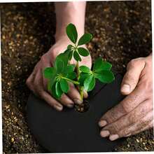10pcs Reusable Garden Ground Cover, Breathable Moisture-Retaining Tree And Lawn Mat, Frost-Proof And Pest-Proof Covering Cloth, Plant Mat, Tree Protection Mat, Effectively Inhibits Growth And Protects Plant Roots - Multicolor - View 6