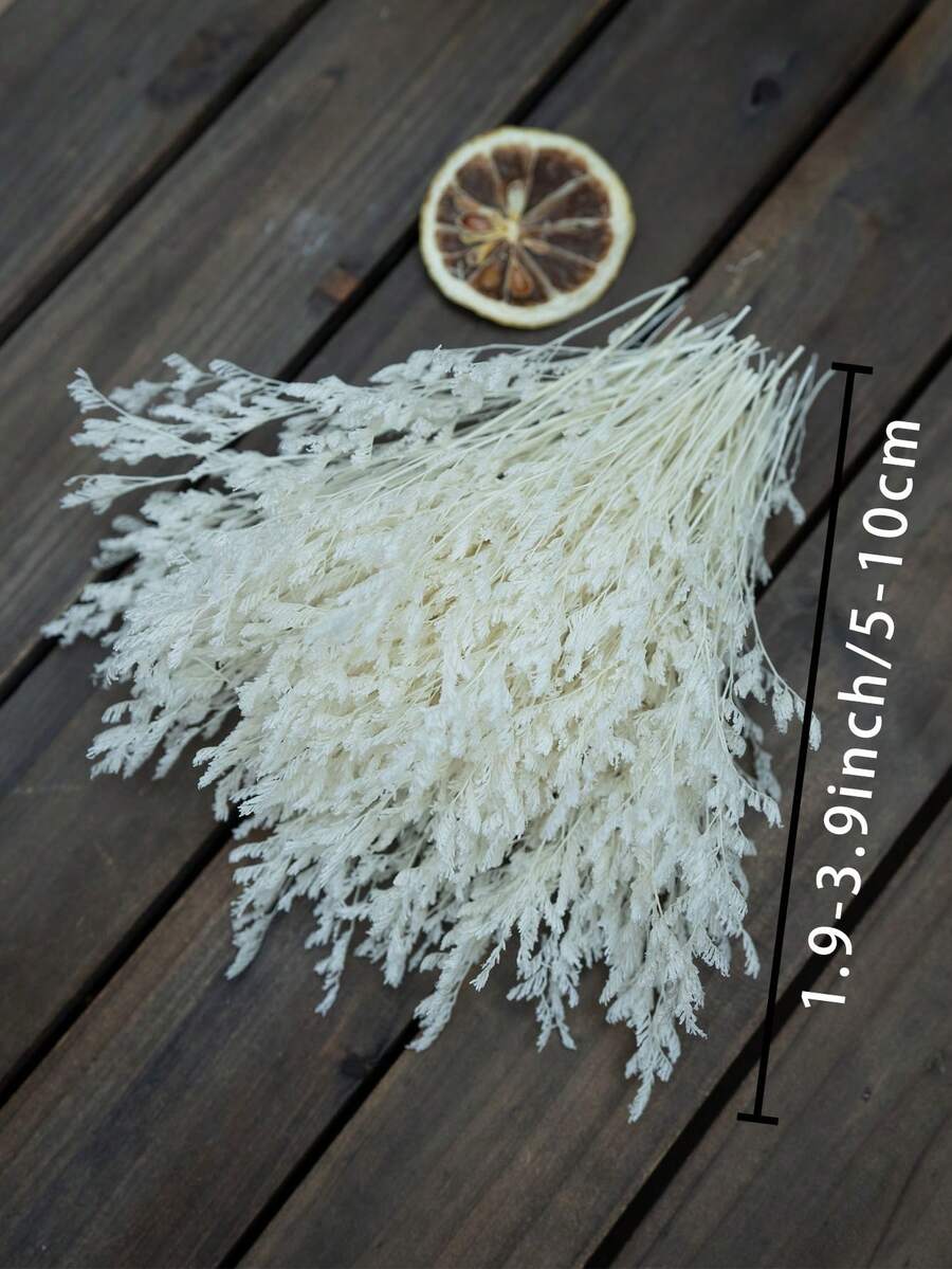 25/50/100/300/Pcs 人造迷你星星亮片 - 用於樹脂模具藝術與手工藝品、髮飾、婚禮花環、桌花、家居裝飾等 - 白色情人草 - 查看 1