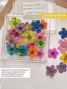 Decorações de Unhas com Flores Secas de Cores Mistas, Decoração de Arte de Unhas com Flores Pequenas Românticas Primavera/Verão 2026, Acessórios de Decoração DIY de Manicure com Flores Secas Reais, Encantos de Unhas - Multicolorido - Visão 12