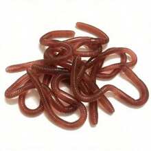 5pcs/Set Realistic Rubber Worms, Lifelike Fake Worms For Pranks, Party Favors, Halloween Props, Suitable For Teens And Adults 14+ Years Old - A - View 5