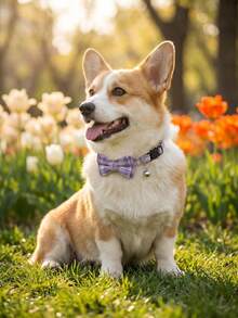 1 buah Kalung Hewan Peliharaan Motif Kotak-kotak Ungu dari Poliester dengan Pita yang Dapat Dilepas dan Lonceng, Cocok untuk Kucing dan Anjing Kecil, Penggunaan di Dalam dan Luar Ruangan - Purple - View 5