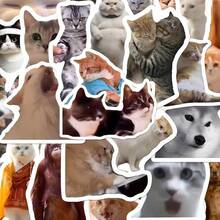 1pc Funny Meme Cat & Animal Stickers, Stickers For Squishy , Laptops, Water Bottles, Skateboards, Cute Cat Meme Decals For Squishy Decoration, Animal Stickers Pack For Teens Adults, Perfect For DIY Crafts, Party Favors, Gift Decor - Multicolor - View 11