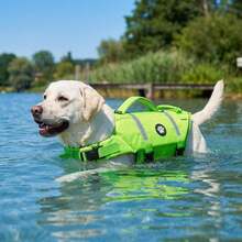 Dog Life Jacket, Lightweight Adjustable Buoyancy Vest With Rescue Handle, High Visibility Reflective Design, Suitable For Medium And Small Dogs Swimming And Boating - Green - View 4