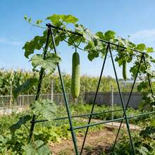1 Set Durable Metal Climbing Plant Garden Stakes_Used For Tomato_Grape_Cucumber And Passion Fruit Vine Support Poles_Greenhouse And Outdoor Gardening Essential - 18pcs - View 9