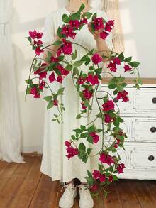 Bougainvillea Vines, Rose Red