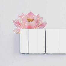 1 miếng dán công tắc họa tiết hoa sen hồng, decal dán tường vinyl chống nước có thể bóc và gỡ bỏ, phù hợp để trang trí phòng ngủ, phòng tắm, phòng khách và nắp ổ cắm điện trong nhà. - Nhãn dán Switch - Xem 3