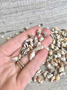 [Approx. 200pcs] Ins Style Mixed Shell Fragments - Handmade DIY Decorative Material Mini Colorful Shells For Bottle Decoration/Aquarium Decoration Small Shells, Miniature Shells, Zen Garden, Aquarium Or Fairy Tale Beach Small Shells, Summer Small Shells - Irregular - View 2