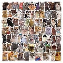 1pc Funny Meme Cat & Animal Stickers, Stickers For Squishy , Laptops, Water Bottles, Skateboards, Cute Cat Meme Decals For Squishy Decoration, Animal Stickers Pack For Teens Adults, Perfect For DIY Crafts, Party Favors, Gift Decor - Multicolor - View 6