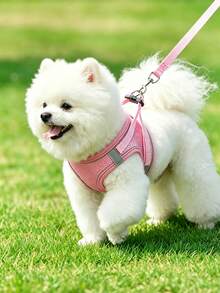 小型中型犬用狗胸背帶牽繩套裝，法鬥幼犬防拉胸衣，可調節柔軟透氣網布，四季舒適散步 - 彩色 - 查看 1