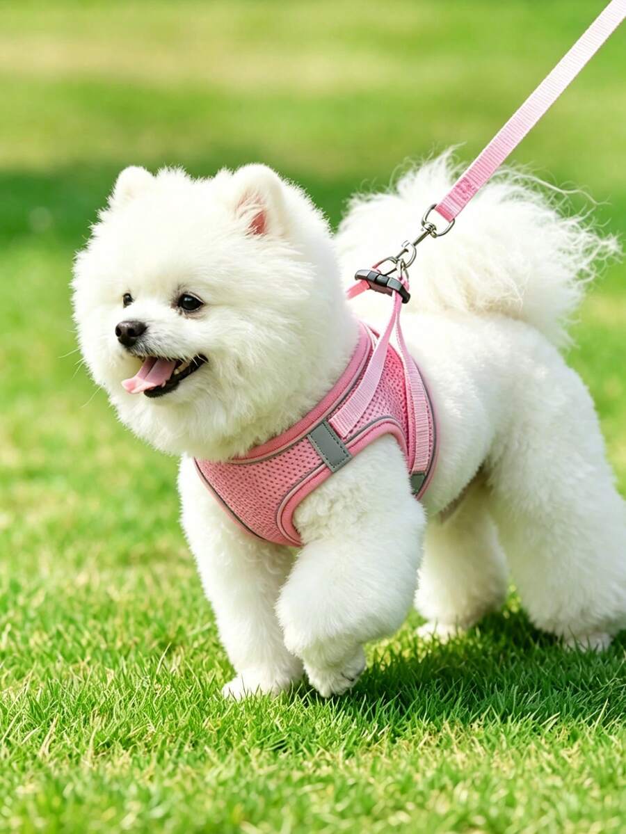 小型中型犬用狗胸背帶牽繩套裝,法鬥幼犬防拉胸衣,可調節柔軟透氣網布,四季舒適散步 - 彩色 - 查看 1
