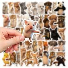 50pcs Cute Cartoon Cat & Dog Stickers, Funny Pose Expression Stickers, Graffiti Aesthetic Stickers, Vinyl Waterproof Stickers, Suitable For Planner, Computer, Scrapbook, Suitcase, Water Bottle, Phone - Multicolor C - View 2