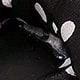 黑色