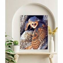 Barn Owl Bird Wildlife Animal Wall Decor Art Print Poster 16x20 - inicial - Ver 2