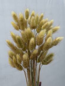60/120/180/240pcs Rabbit Tail Grass - Bohemian Artificial Flower Bouquet, Suitable For DIY, Home And Wedding Decoration, Farmhouse Style, Perfect For Christmas, Thanksgiving, Valentine's Day, Mother's Day - Light Green Rabbit Tail Grass - View 5