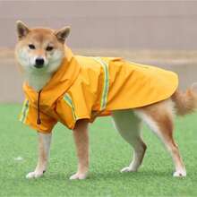 1件大狗雨衣披風斗篷，附反光條，防風防水連帽寵物雨衣狗服 - 黃色 - 查看 6