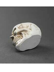 1件萬聖節哥德風骷髏雕塑，石膏桌面骷髏裝飾品，陰森鬼屋派對道具，獨特收藏模型禮物。適合萬聖節、生日禮物、節日桌面裝飾、壁爐裝飾、戶外花園裝飾 - 多款 - 查看 5