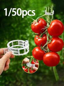 1/50pcs Plastic Vine Plant Support Clips, Suitable For Tomatoes And Other Climbing Plants, Reusable Clips Allow Tomato Vines And Vegetable Plants To Grow Upright, Promoting Healthy Plant Growth - Multicolor - View 1
