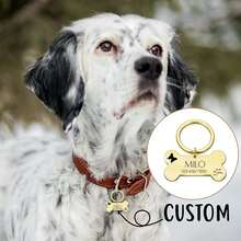 1pc Bone Personalized Dog Tags - Custom Icon Single Sided Engraved Pet ...