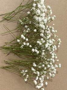 25/50/100/150/300pcs Mini Baby's Breath And Other Artificial Flowers - For Arts And Crafts, Hair Accessories, Wedding Wreaths, Table Flowers, Home Decor, Etc. - White-green - View 1