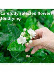 350/500/1000ml Artificial Flowers, Faux Flower Petals - True Red Rose/White Jasmine/Blue Cornflower/White Large Leaf Hydrangea/Apple Leaf (Eucalyptus Leaf), Suitable For Foot Bath, Body Bath, Spa, Wedding, Home Fragrance, DIY Crafts, Etc. - White Jasmine Petals - View 4