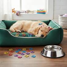 100 Adesivos Pet Patinhas Aplique Eva Lacinhos Petshop Banho e Tosa Cães e Gatos - Multicolorido - Visão 2