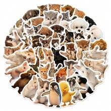 50pcs Cute Cartoon Cat & Dog Stickers, Funny Pose Expression Stickers, Graffiti Aesthetic Stickers, Vinyl Waterproof Stickers, Suitable For Planner, Computer, Scrapbook, Suitcase, Water Bottle, Phone - Multicolor C - View 7