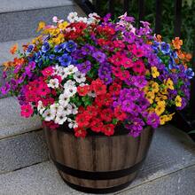 1pc/1set Valentine's Day Vibrant Artificial Eucalyptus Flowers | Multi-Color Faux Floral Decor, 9 Bright Colors, High-Quality Plastic Hanging Decoration, Balcony Patio Flower Box, Wedding And Event Decoration, Durable Artificial Flowers, Container Not Included - Multicolor - View 3