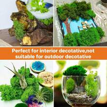 35 OZ Preserved Moss For Crafts - Sukh Green Reindeer Moss For DIY Art, Wall Decor, Indoor Projects, Decorative Fake Moss For Terrarium, Garden, Fairy Displays, Wall Art Easter Decor - White - View 6