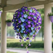 121 Plantas de Ipomoea Trepadora para Enrejado, Adecuadas para Vallas de Jardín, Plantas en Macetas de Ventana y Siembra en Campo Abierto.Las variedades enanas pueden utilizarse como plantas decorativas en macetas para interiores y para plantar en el suelo, con aplicación universal en el diseño paisajístico. - 121 - Ver 2