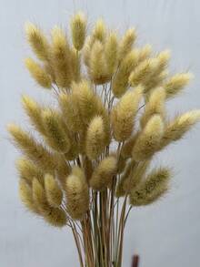 60/120/180/240pcs Rabbit Tail Grass - Bohemian Artificial Flower Bouquet, Suitable For DIY, Home And Wedding Decoration, Farmhouse Style, Perfect For Christmas, Thanksgiving, Valentine's Day, Mother's Day - Light Green Rabbit Tail Grass - View 1