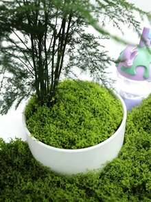 300g 人造苔蘚草坪，逼真仿真苔蘚用於微景觀裝飾，綠色植物草坪，盆栽植物窗台裝飾景觀設計 - a - 查看 2
