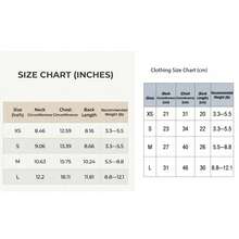 Cat Clothes Spring Summer New Thin Ballet Tutu Dress Teddy Schnauzer Bichon Frise Clothing - Multicolor - View 3