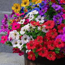 1pc/1set Valentine's Day Vibrant Artificial Eucalyptus Flowers | Multi-Color Faux Floral Decor, 9 Bright Colors, High-Quality Plastic Hanging Decoration, Balcony Patio Flower Box, Wedding And Event Decoration, Durable Artificial Flowers, Container Not Included - Multicolor - View 2