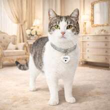 Personalized Pet Cat ID Tag With Name, QR Code, And Phrase - Silver Front Accessory - Heart - View 3