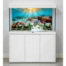 貝殼海灘水族箱背景畫、水族箱背景貼紙、爬蟲類飼養箱背景貼紙、自黏式正面、水族箱景觀裝飾、水族箱裝飾品 - A - 查看 5