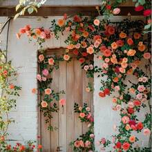 La planta de rosas de colores mixtos adecuada para plantar en jardines al aire libre, flores decorativas para crear tu propio hermoso jardín, decoración exterior de primavera. - 99 piezas - Ver 3